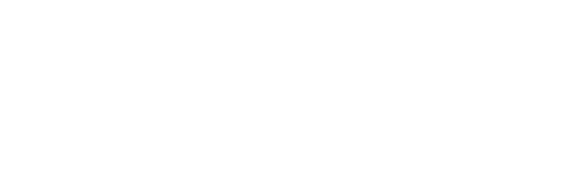Logo gs4max